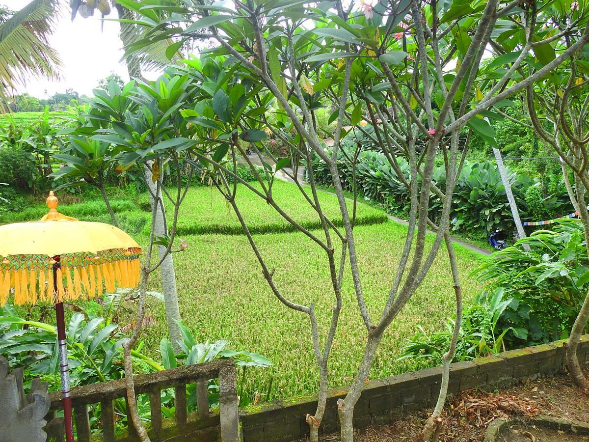 Mandala Hostel Ubud Eksteriør billede