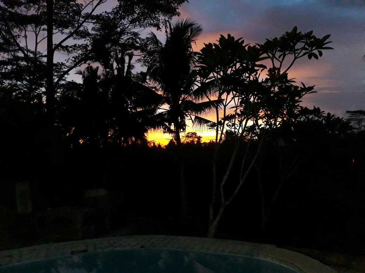 Mandala Hostel Ubud Eksteriør billede