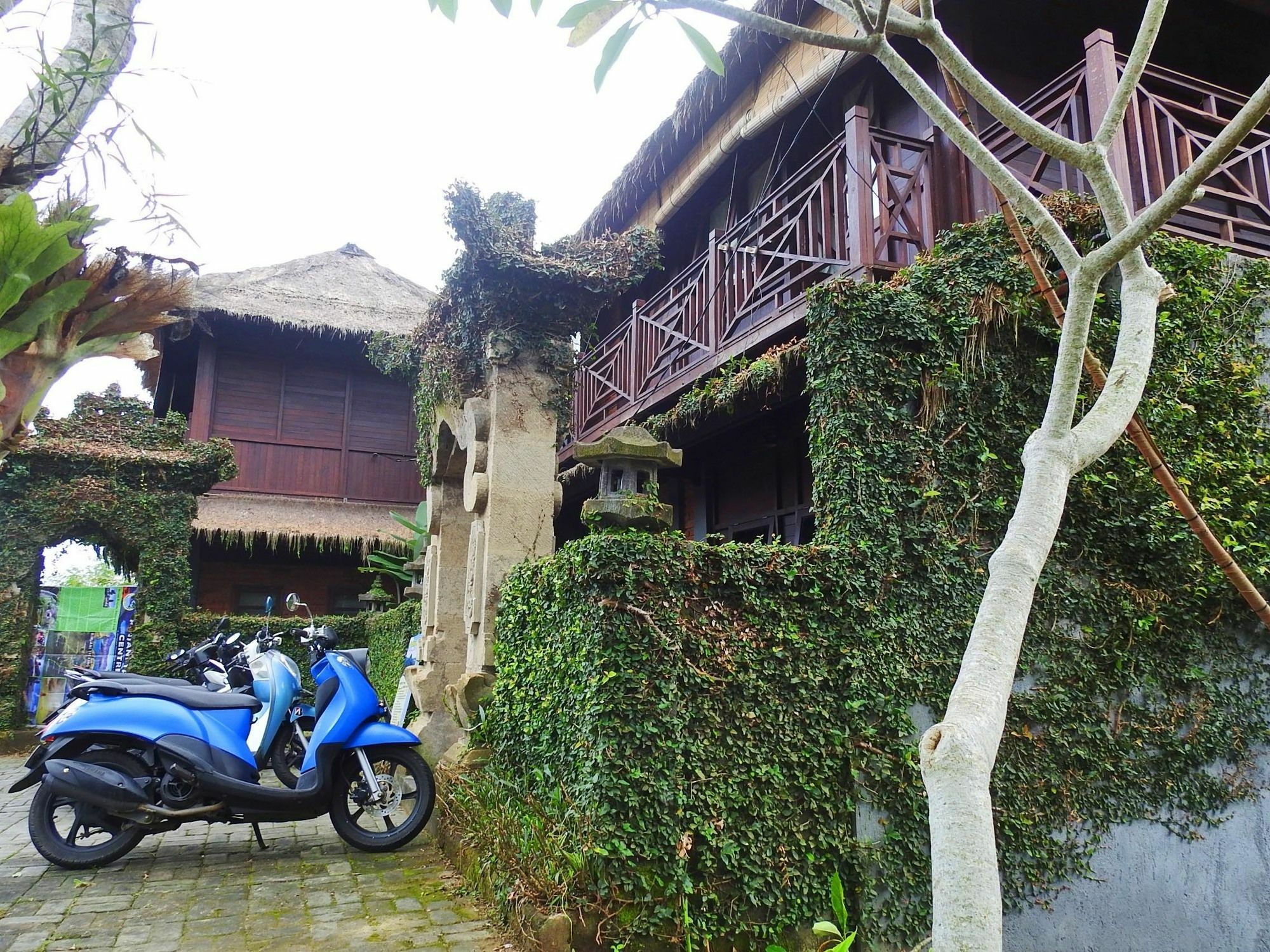 Mandala Hostel Ubud Eksteriør billede